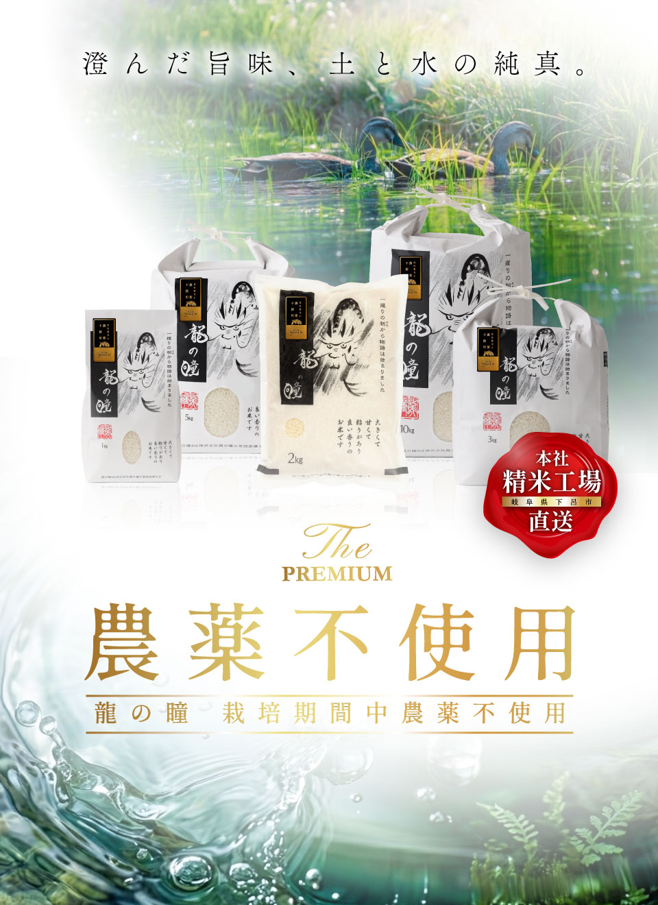 2025年産龍の瞳農薬不使用米（国内産） 内容量: 1kg(6.7合), 精米方法: 精米