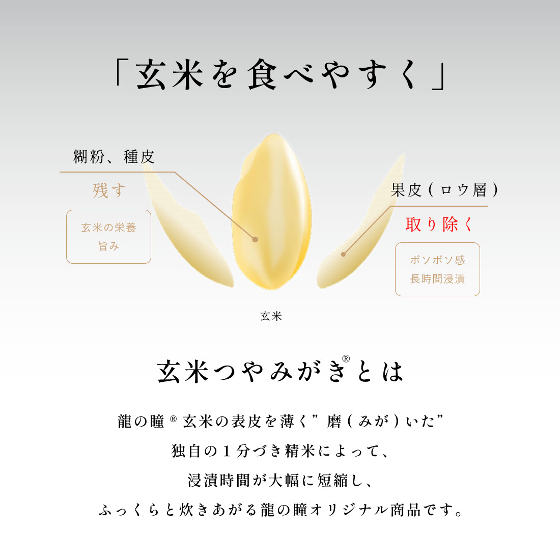 2025年産龍の瞳玄米つやみがき（飛騨産）1kg