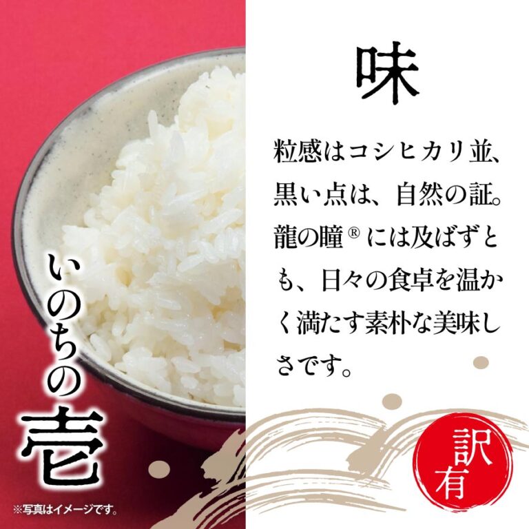 【訳有品】2024年産いのちの壱（国内産）5kg