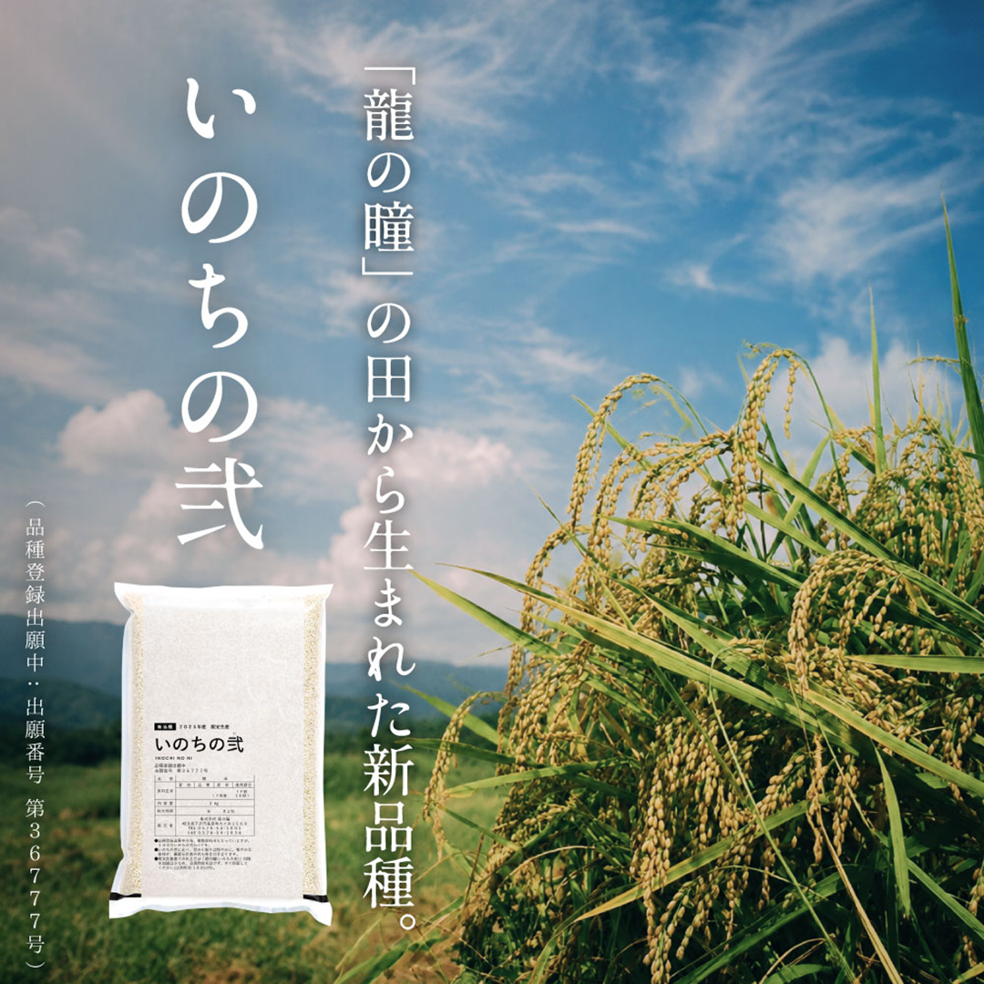2025年産 いのちの弐 岐阜県産　2kg 