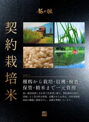 2024年産龍の瞳飛騨産 内容量: 2kg(13合), 精米方法: 精米