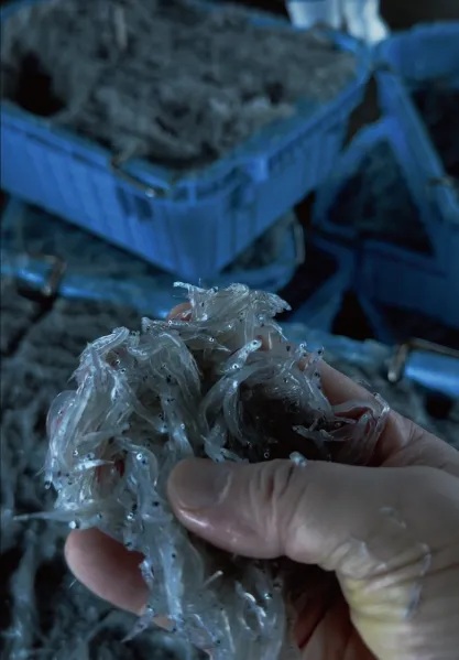 しらすぬか 種類: ゆば山椒40g