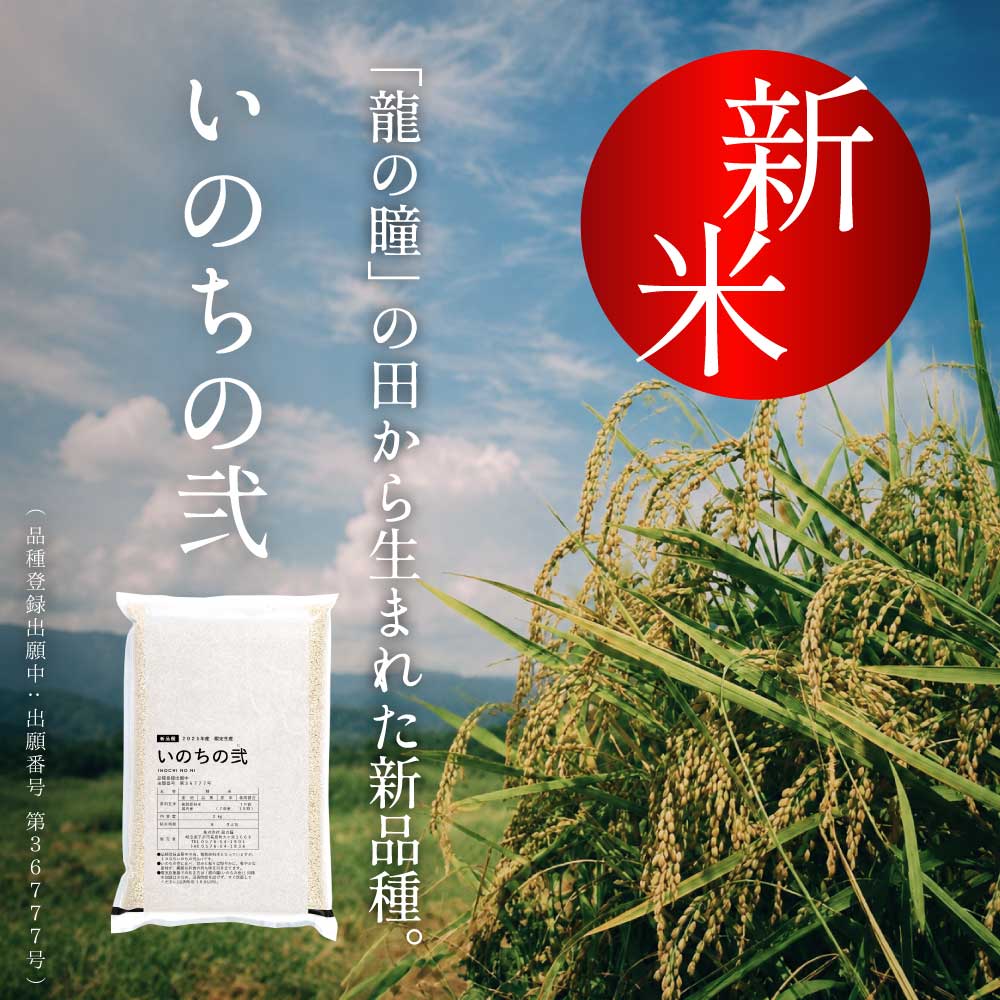 2026年産 いのちの弐 岐阜県産　2kg