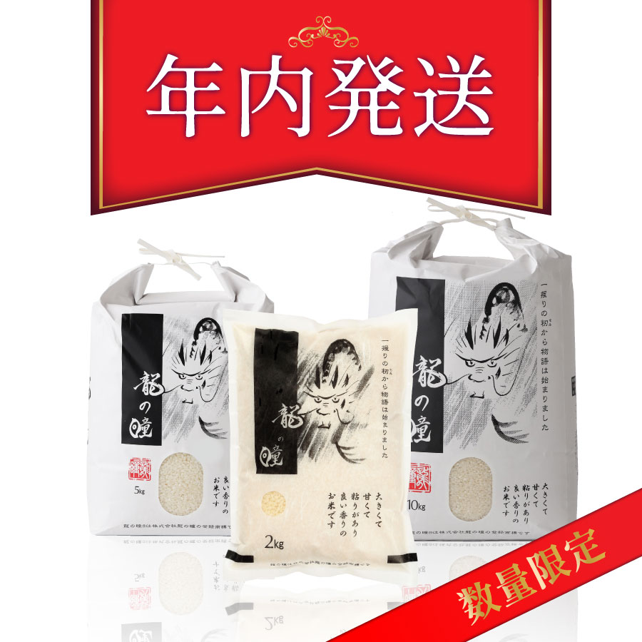 【★年内発送品】2025年産龍の瞳飛騨産
