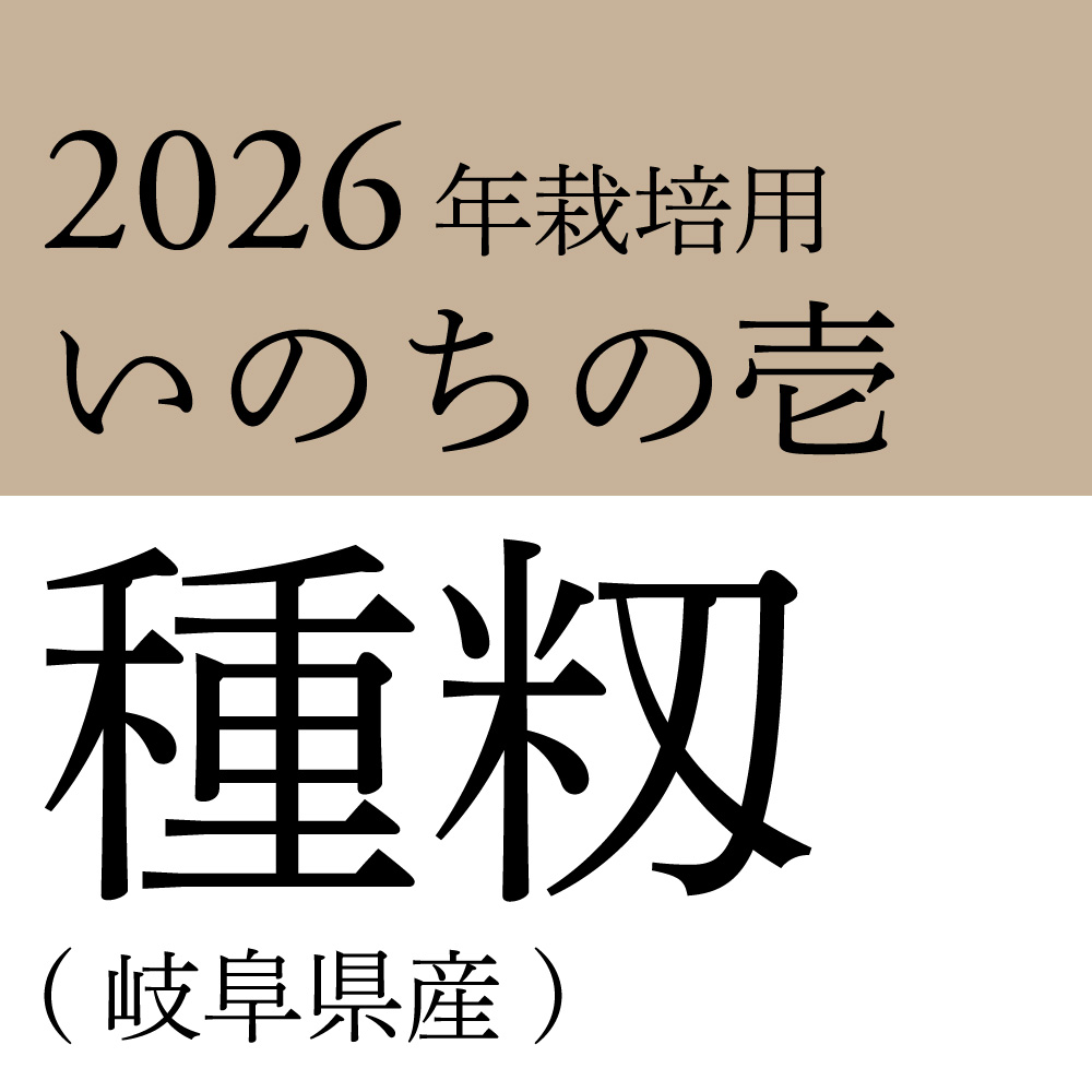 2026年産いのちの壱種籾（岐阜県産） 内容量: 1kg