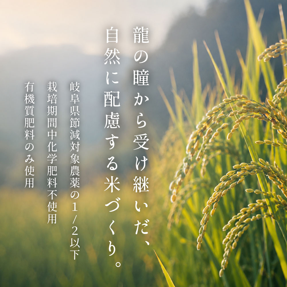 2025年産 いのちの弐 岐阜県産　2kg 