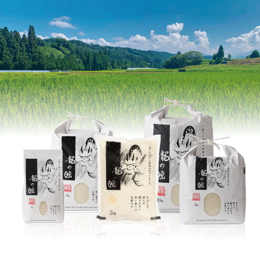2026年産龍の瞳飛騨産 内容量: 1kg(6.7合), 精米方法: 精米