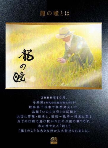 2024年産龍の瞳飛騨産 内容量: 2kg(13合), 精米方法: 精米