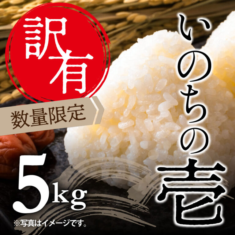 【訳有品】2024年産いのちの壱（国内産）5kg