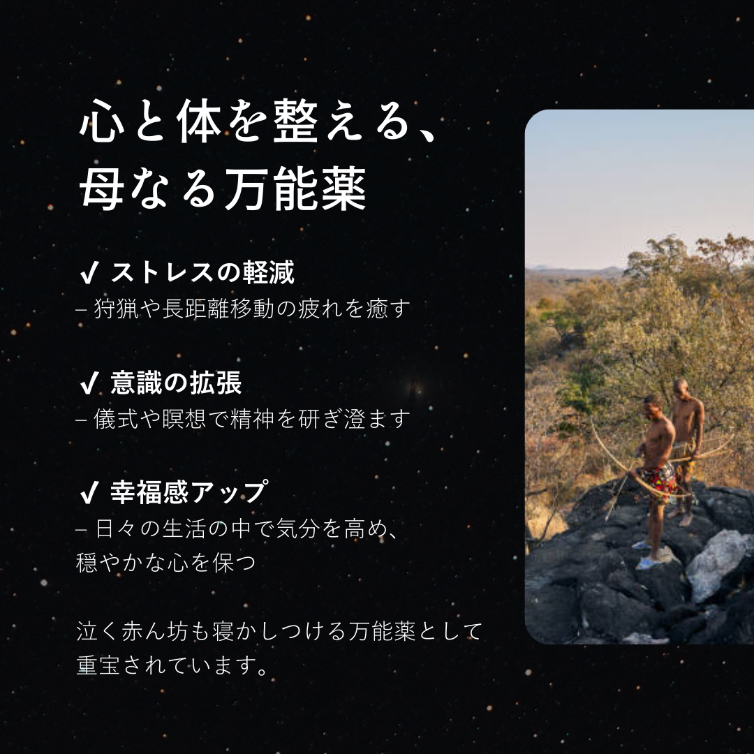 【地球】RICHILL NEO - EARTH BOUND-