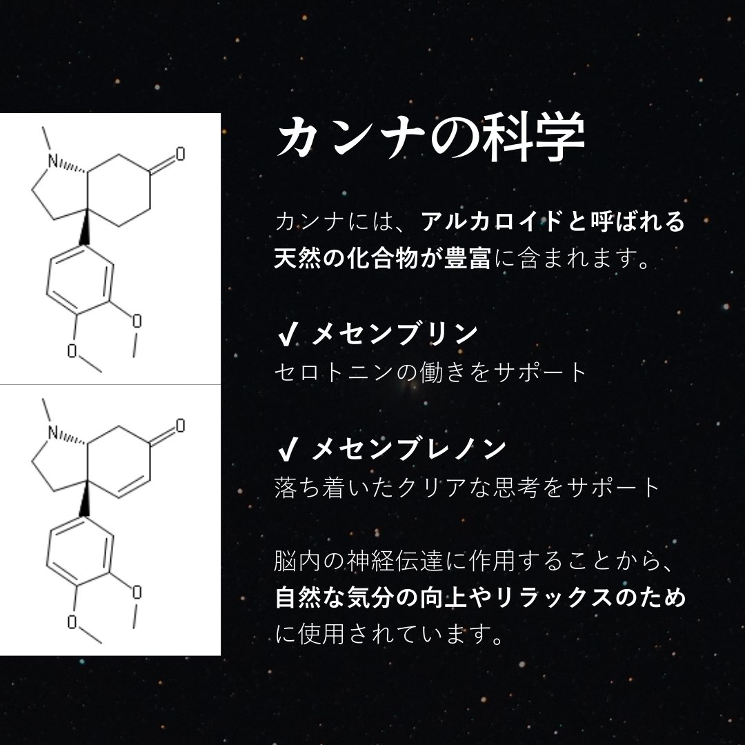 【月】RICHILL NEO - MOON SHOT-