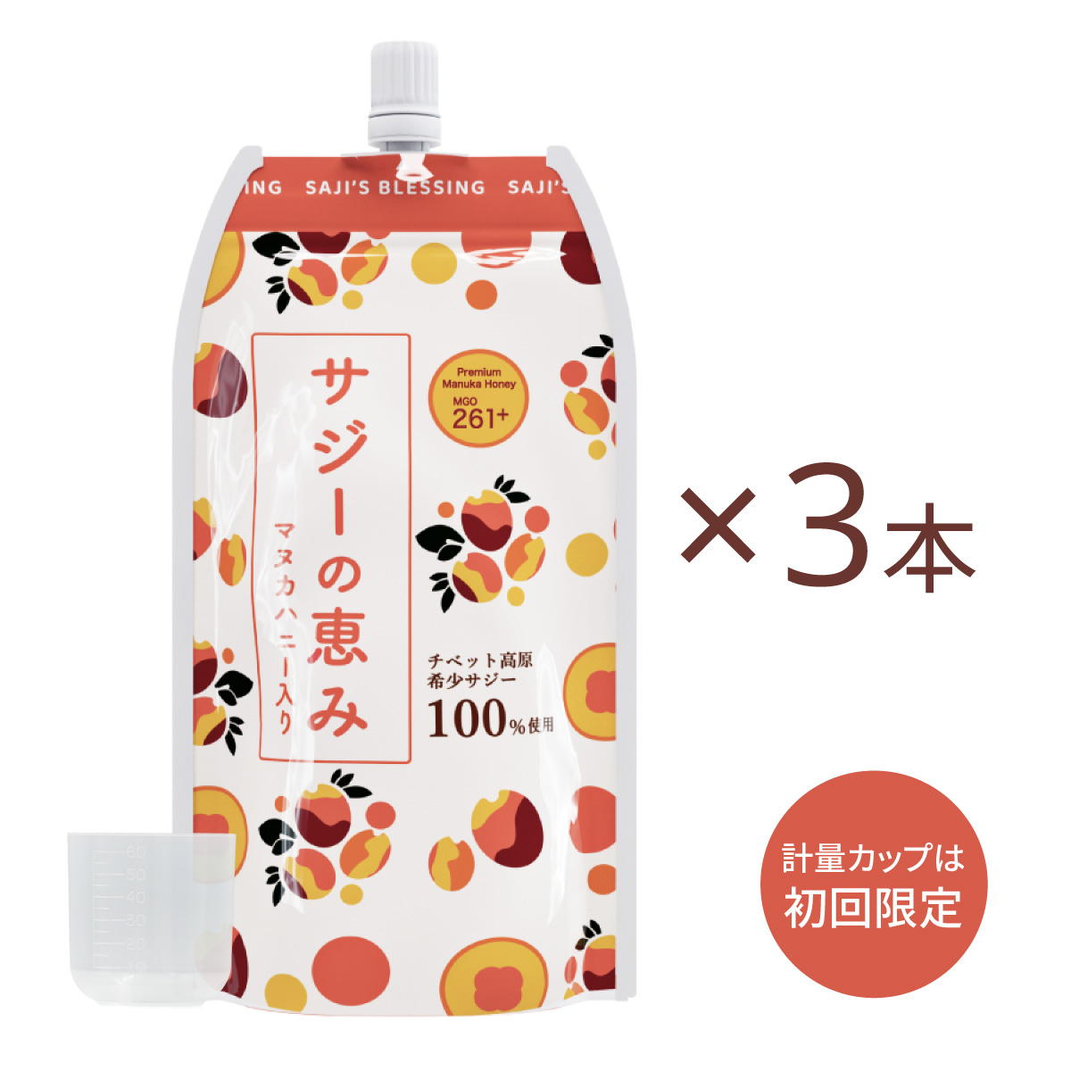  サジーの恵み 3ヶ月定期