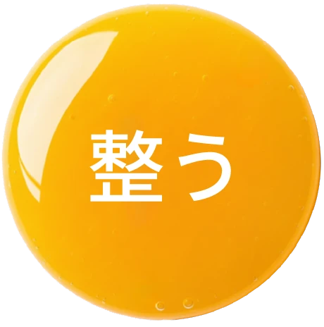 整う