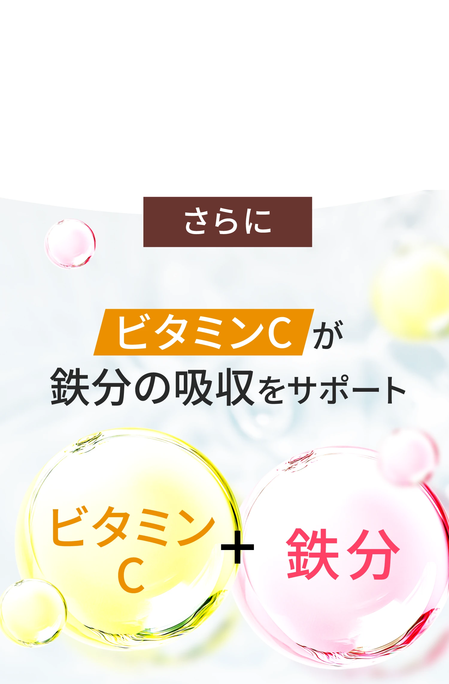 さらにビタミンCが鉄分の吸収をサポート
