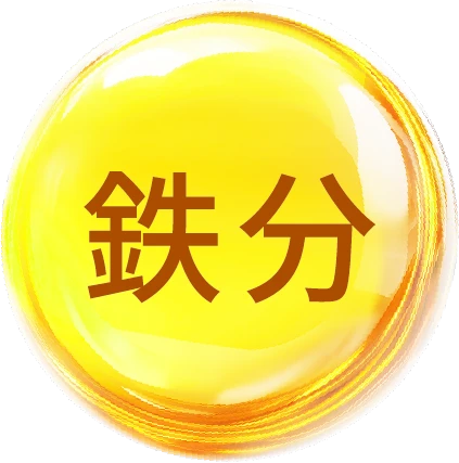 鉄分