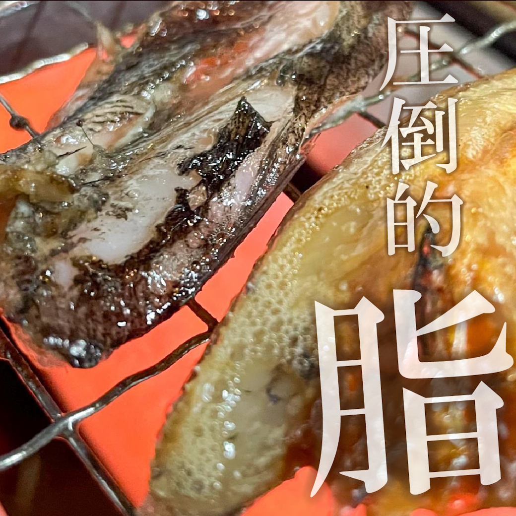 【魚匠の一夜干し】愛知県産めひかり