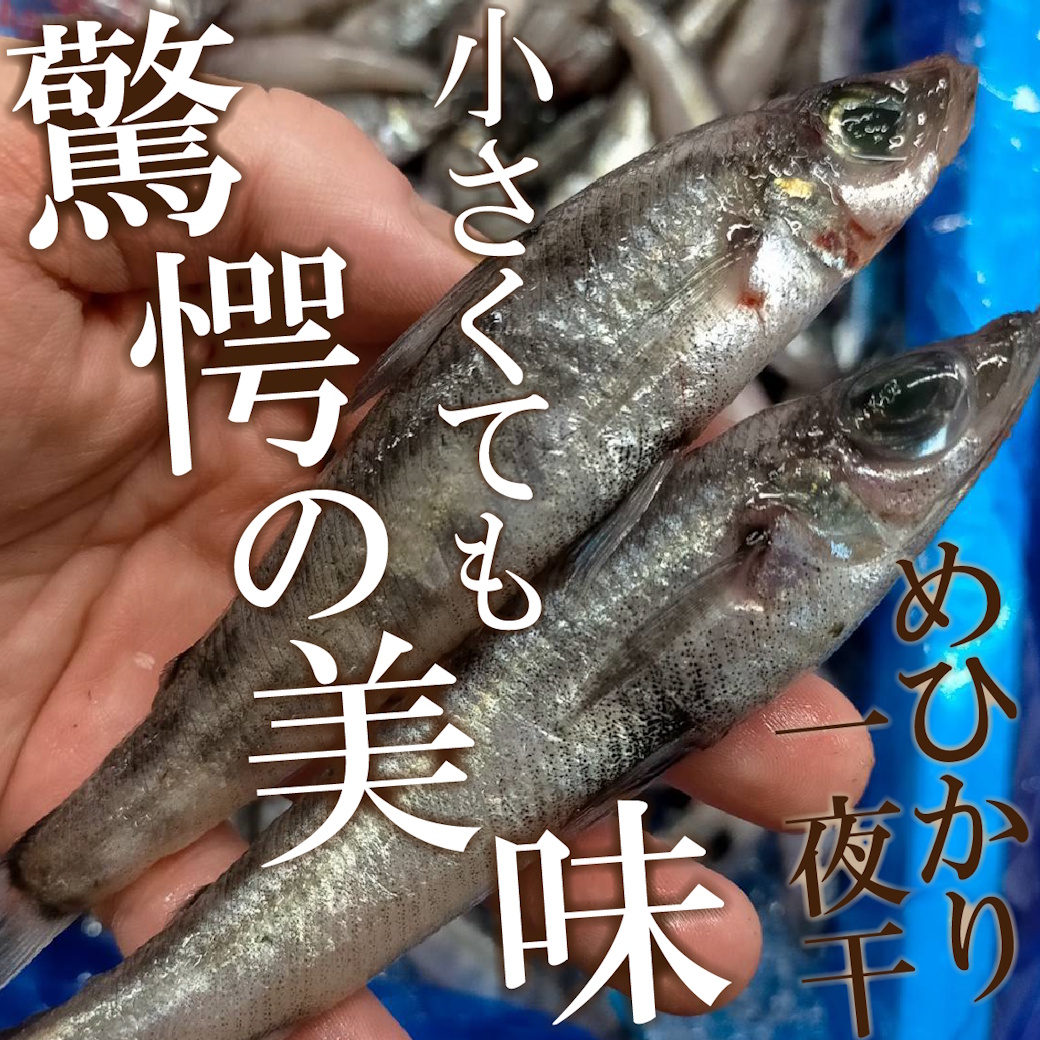 【魚匠の一夜干し】愛知県産めひかり