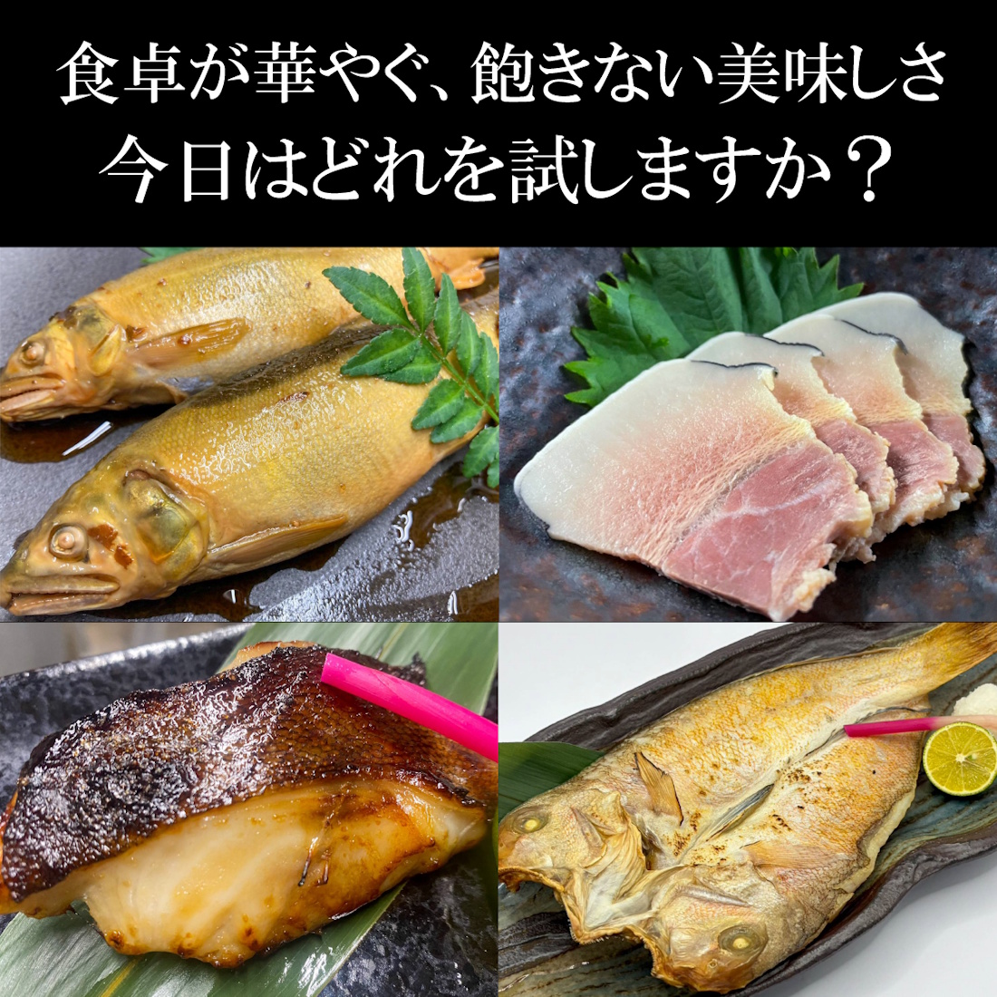 【リピート定番】魚匠の技バラエティセット（送料半額）