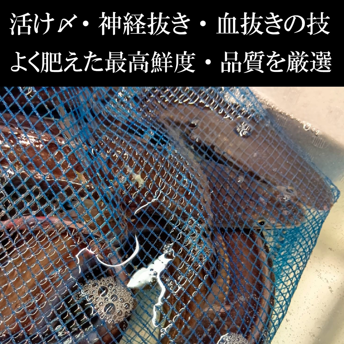 【魚匠の逸品】塩麹熟成和風コンフィ伝助あなご