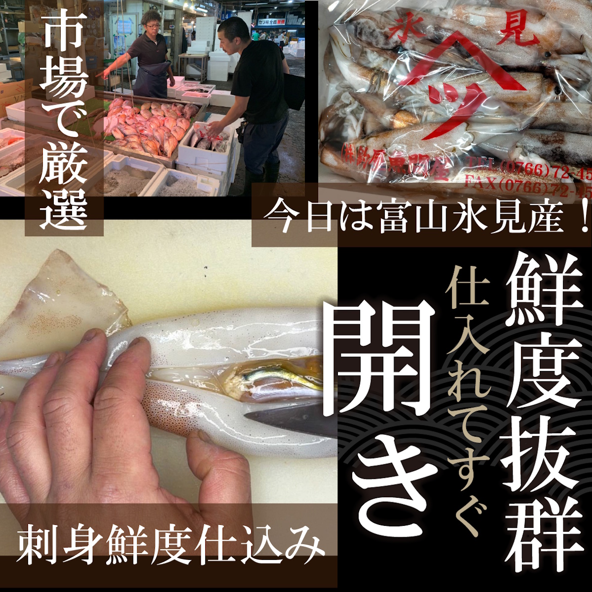 【魚匠の一夜干し】富山氷見産するめいか