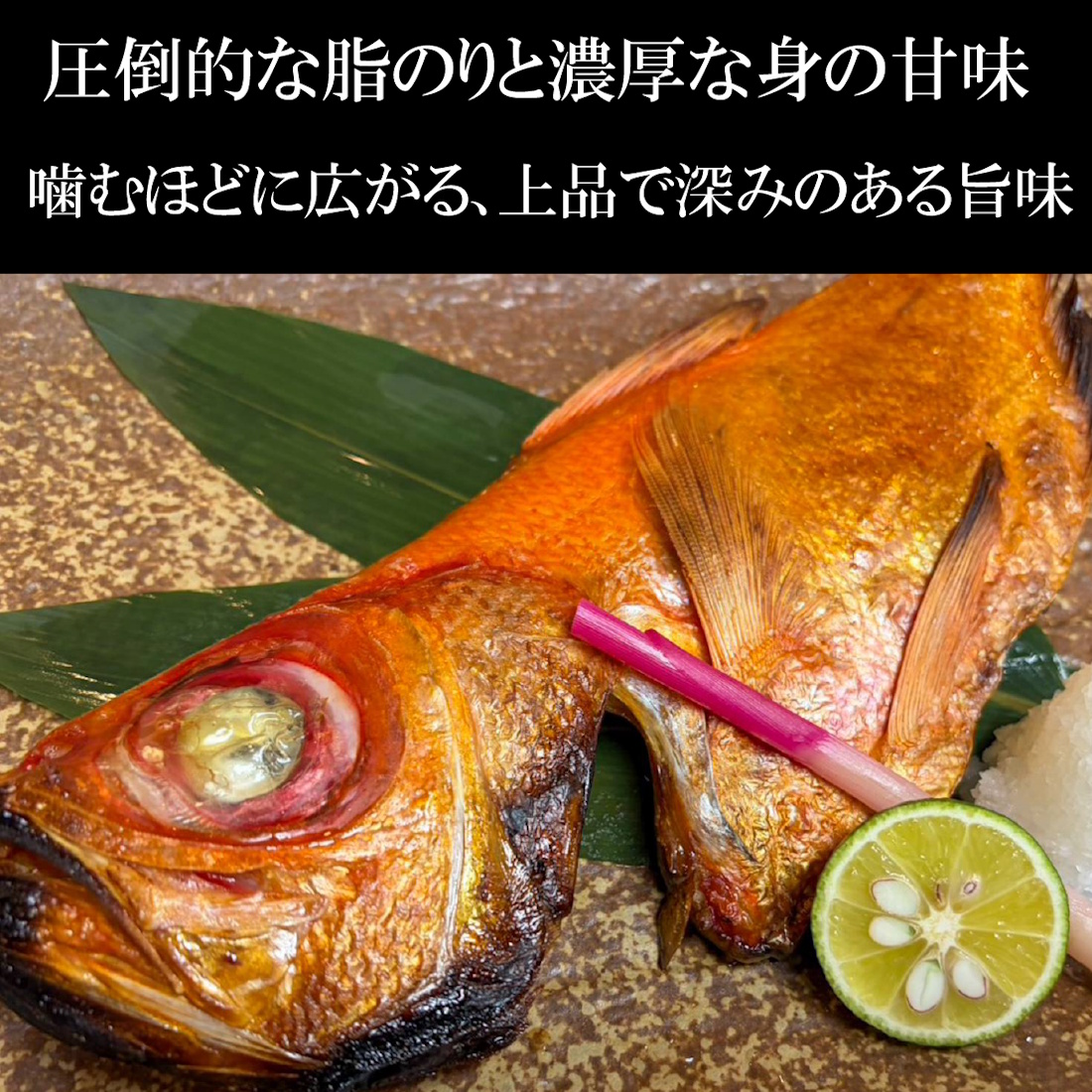 【魚匠の一夜干し】千葉産地金目鯛（半身）