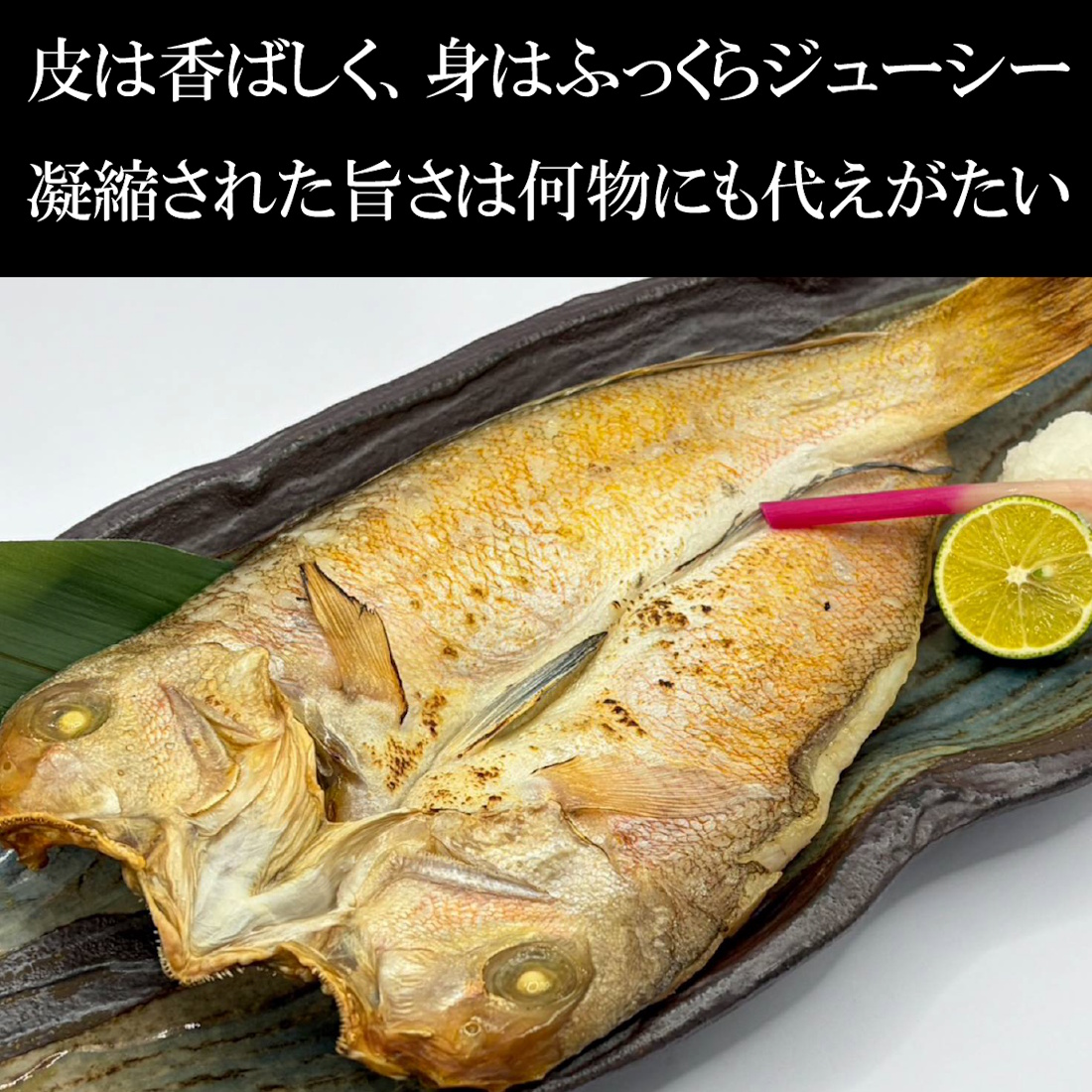 【魚匠の一夜干し】高知県産しろあまだい