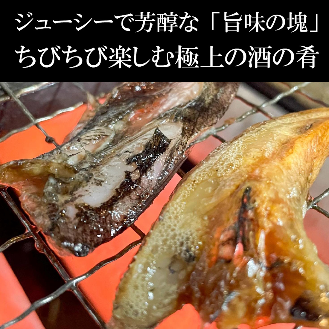 【魚匠の一夜干し】愛知県産めひかり