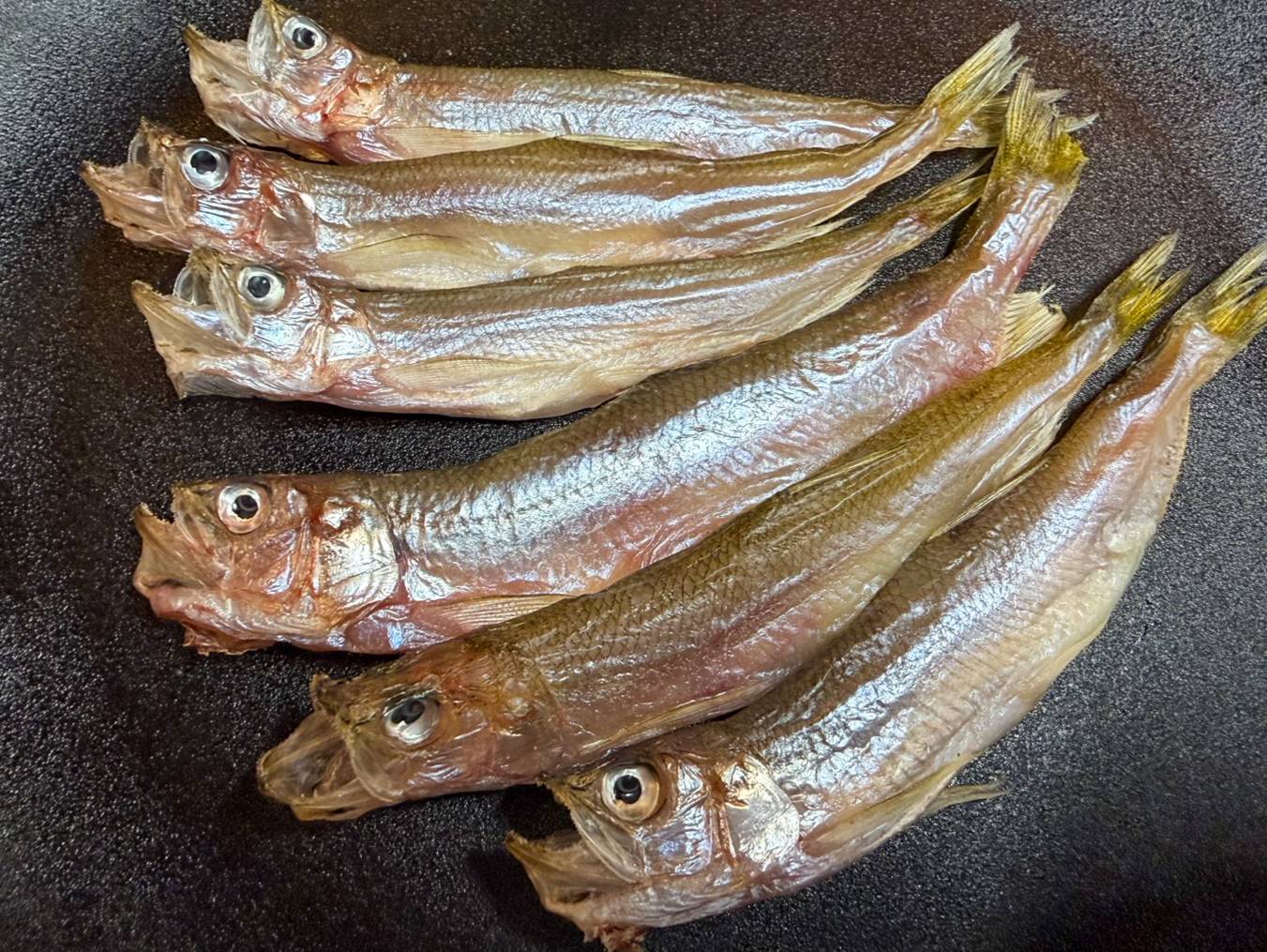【魚匠の一夜干し】北海道の秘宝：本ししゃも（オスメス混合６尾）