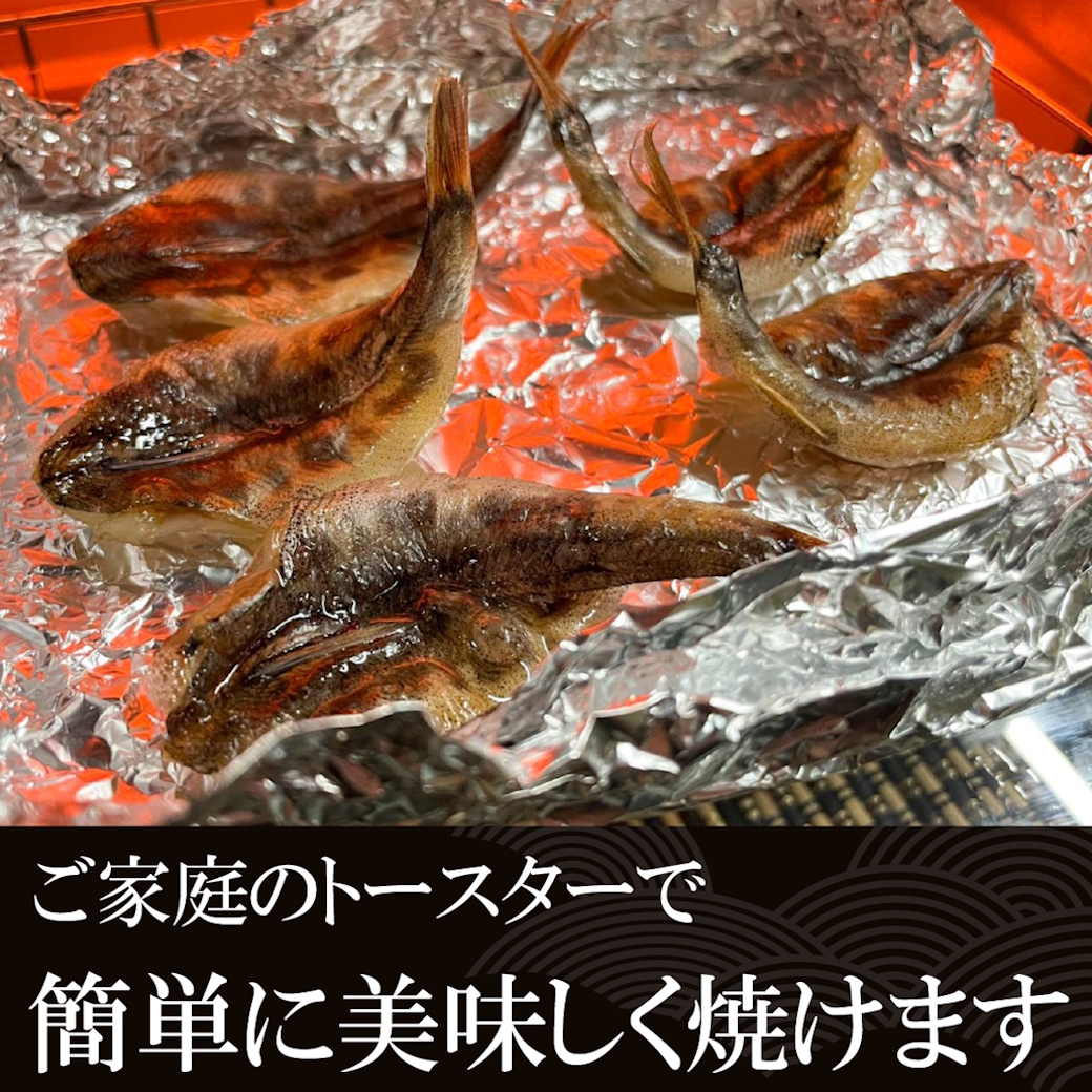 【魚匠の一夜干し】愛知県産めひかり