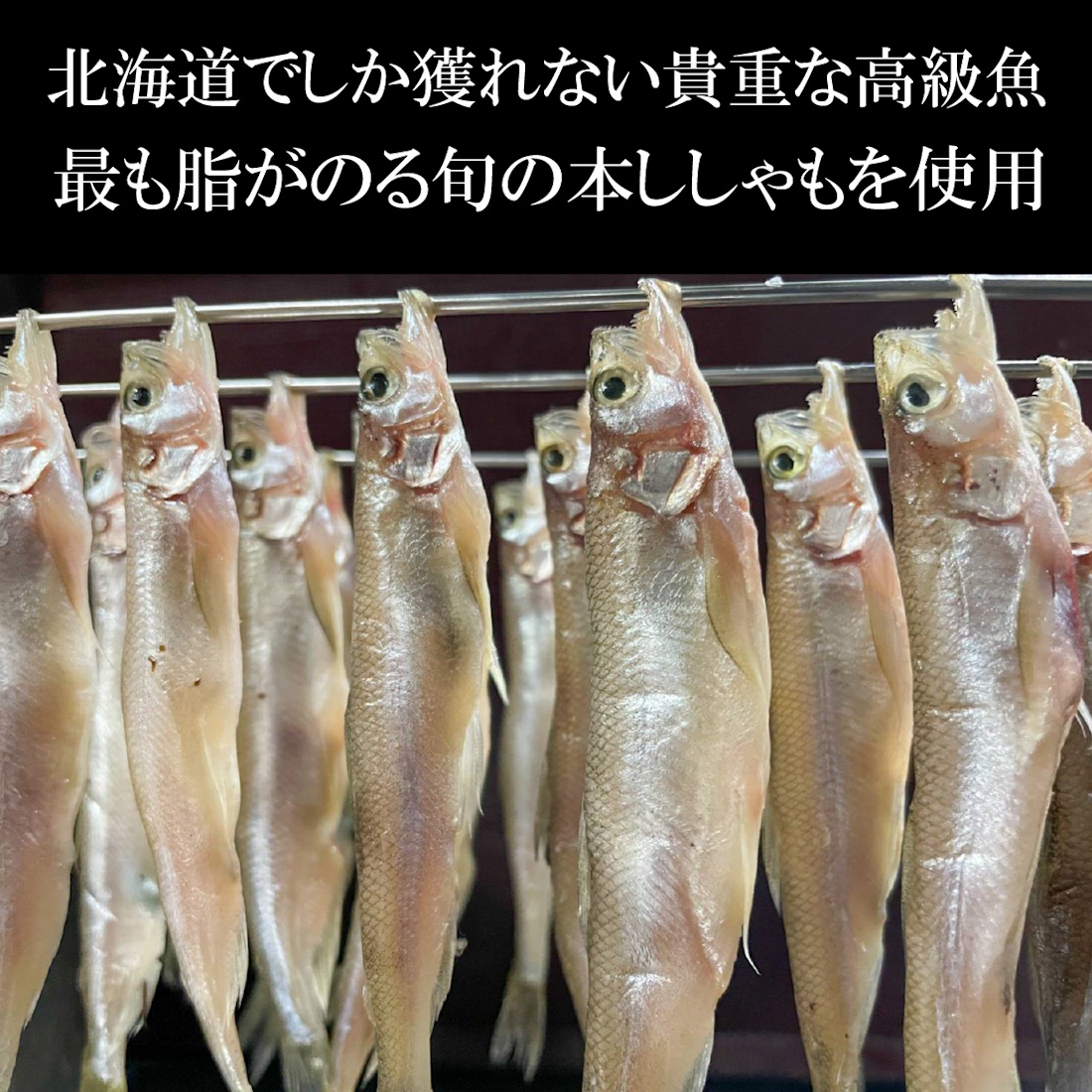 【魚匠の一夜干し】北海道の秘宝：本ししゃも（オスメス混合６尾）