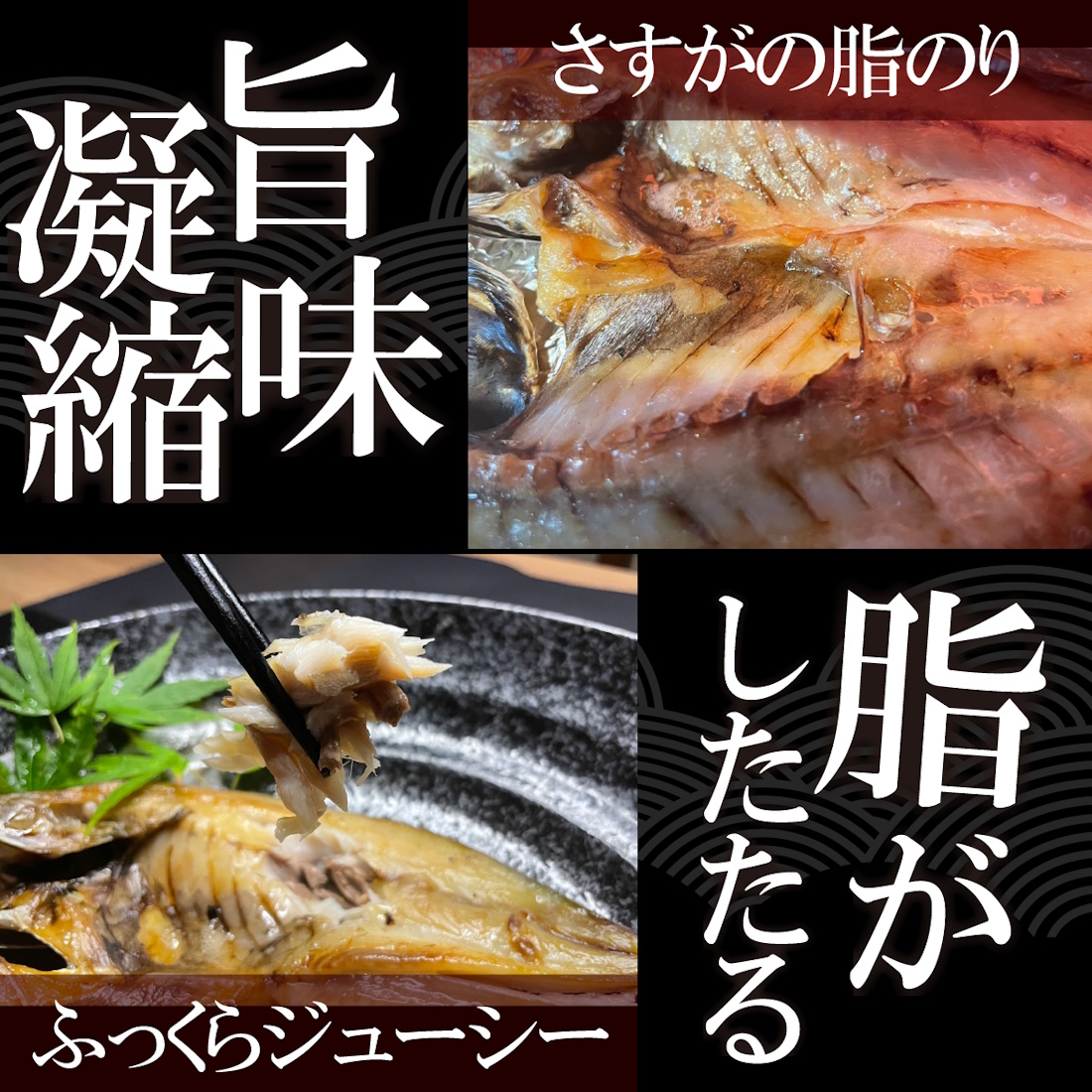 【魚匠の一夜干し】島根産どんちっちあじの一夜干し