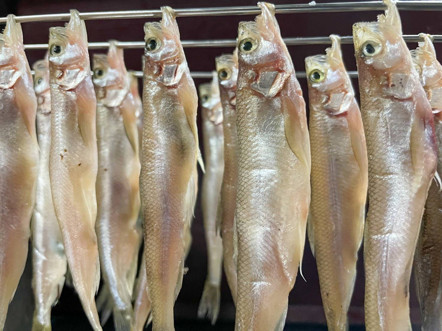 【魚匠の一夜干し】北海道の秘宝：本ししゃも（オスメス混合６尾）