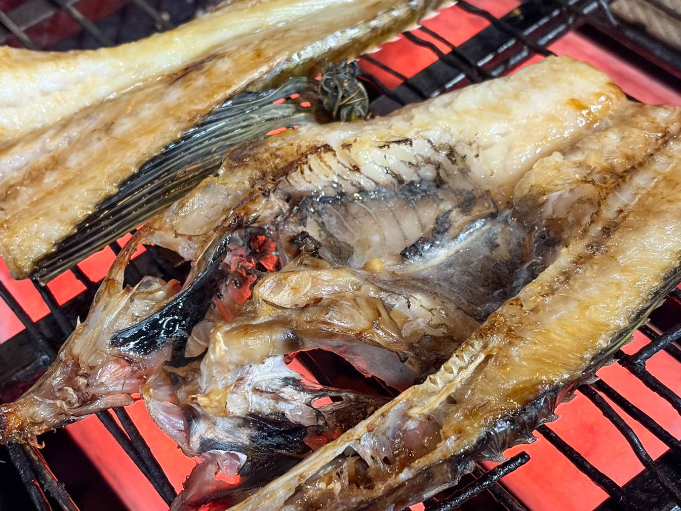 【魚匠の一夜干し】北海道産八角・超特大