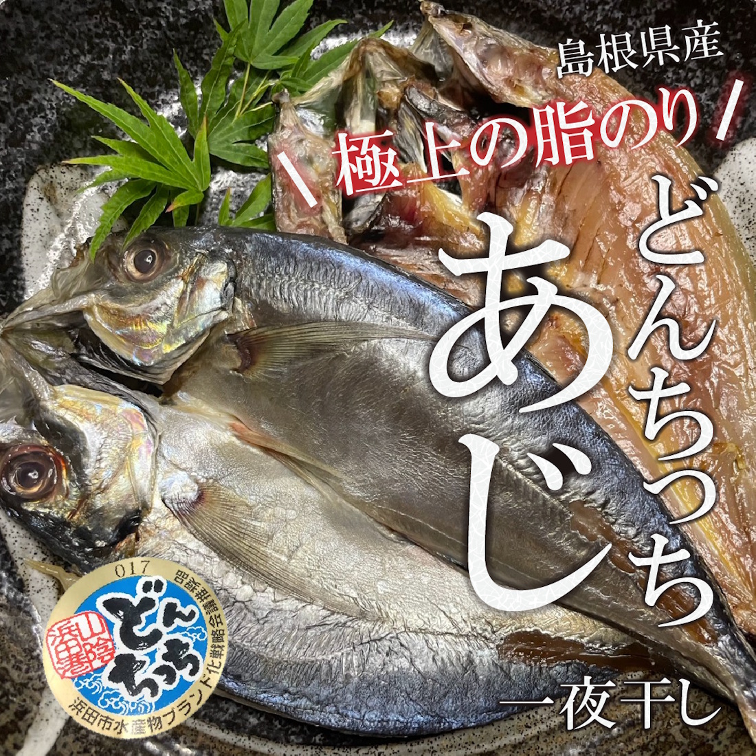 【魚匠の一夜干し】島根産どんちっちあじの一夜干し