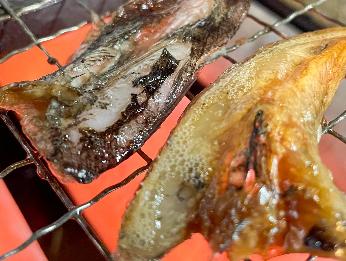 【魚匠の一夜干し】愛知県産めひかり