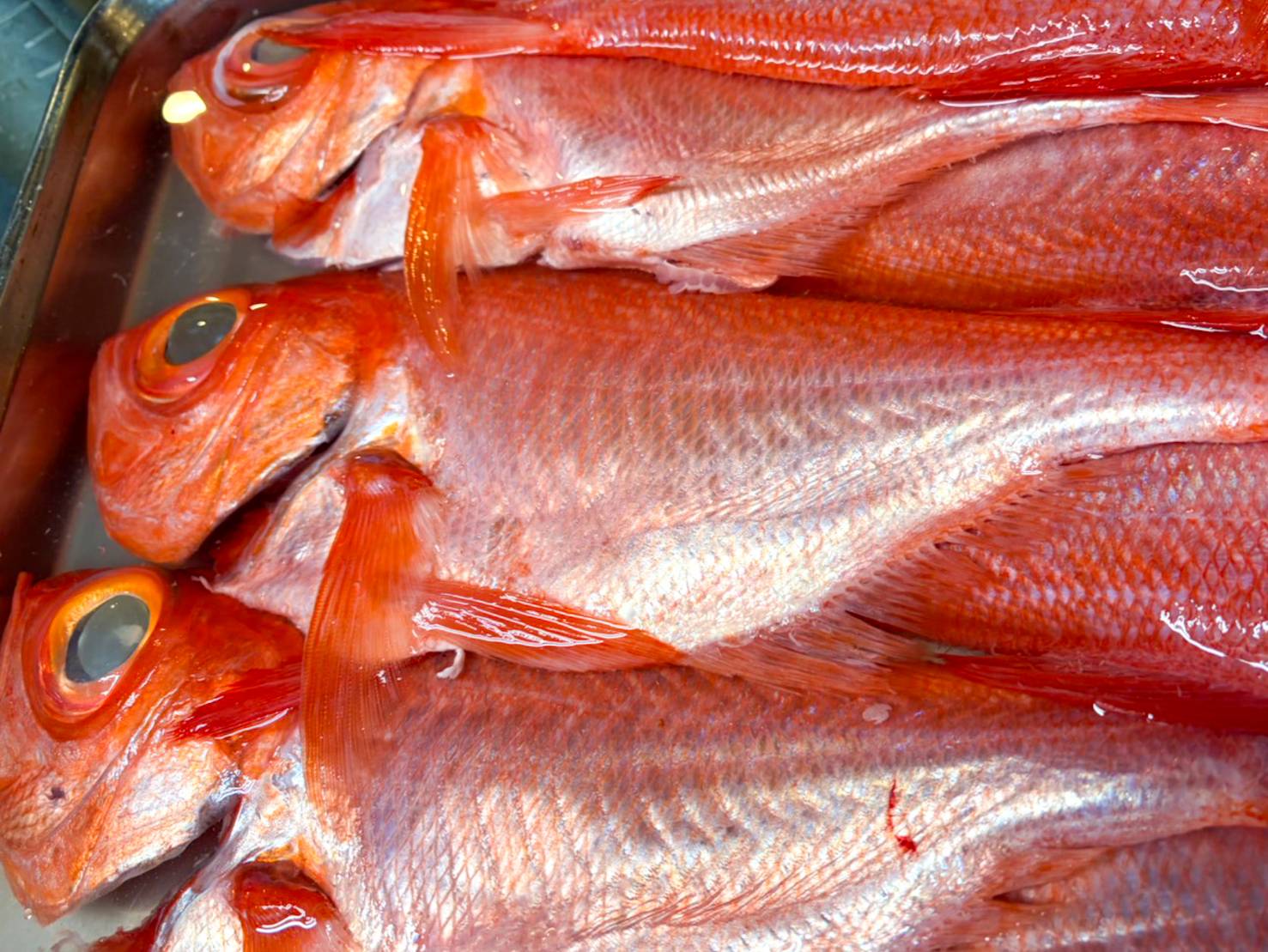 【魚匠の一夜干し】千葉産地金目鯛（半身）