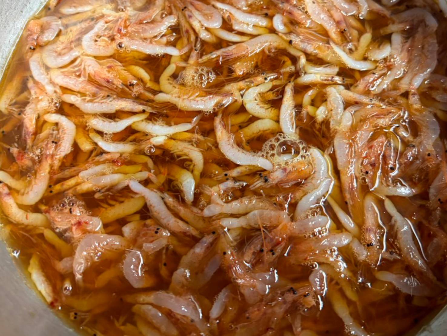 【魚匠の逸品】桜海老のつや煮