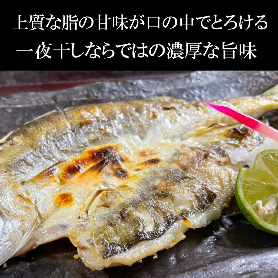 【魚匠の一夜干し】宮城産トロかます