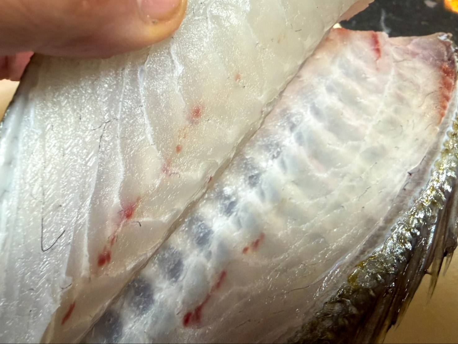 【魚匠の逸品】白鯛の醤油麹熟成和風コンフィ