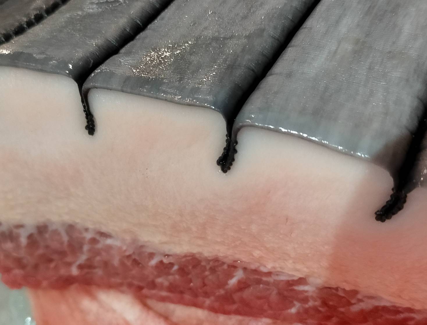 【魚匠の逸品】極上ミンククジラ畝酢クジラベーコン(スライス)