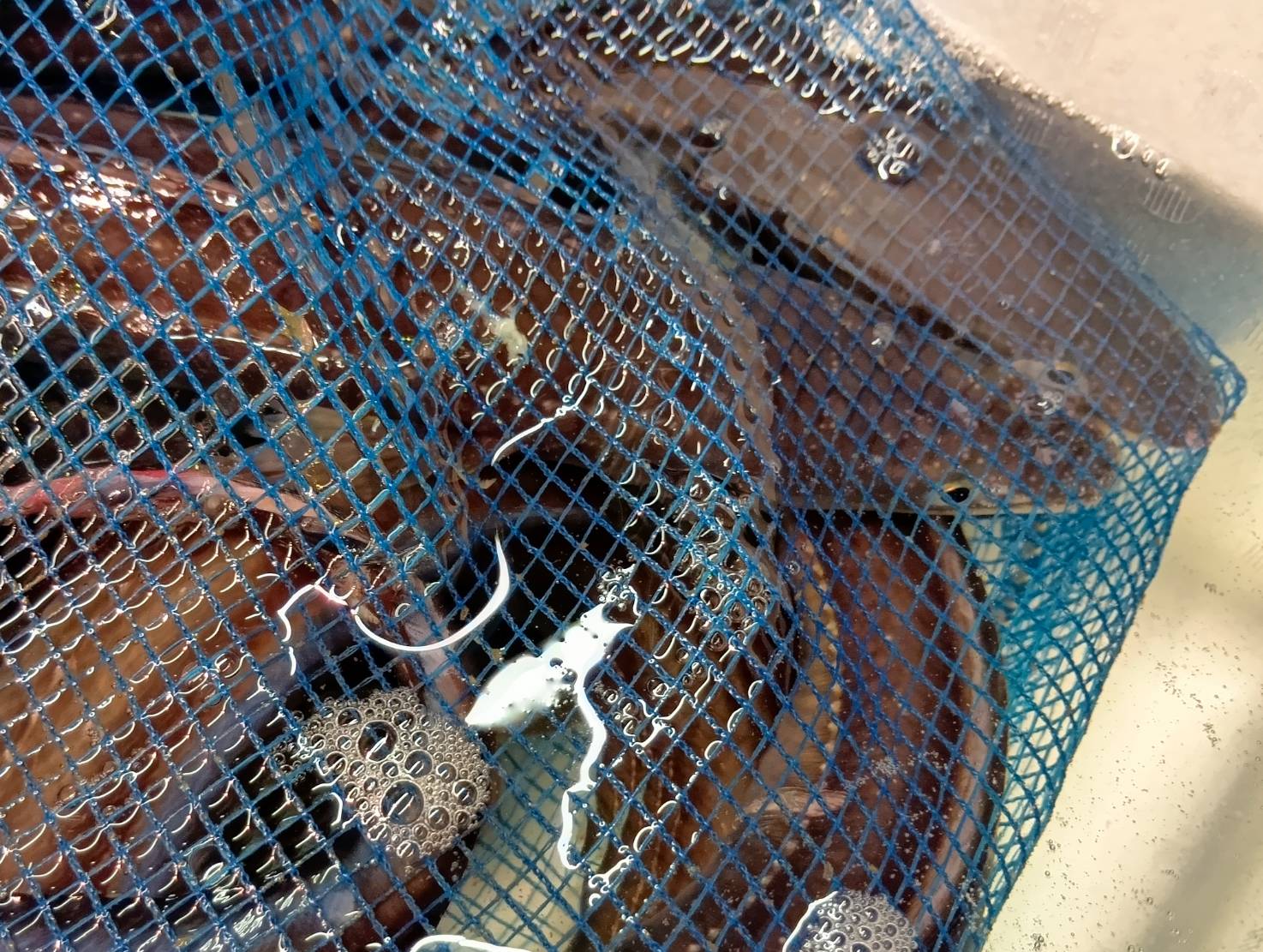 【魚匠の逸品】塩麹熟成和風コンフィ伝助あなご