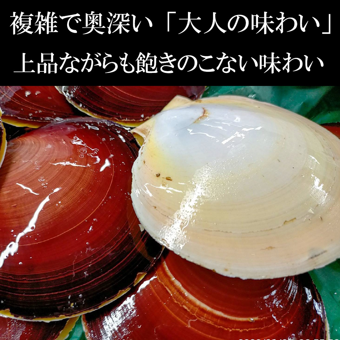 【魚匠の逸品】月日貝のエスカルゴ風