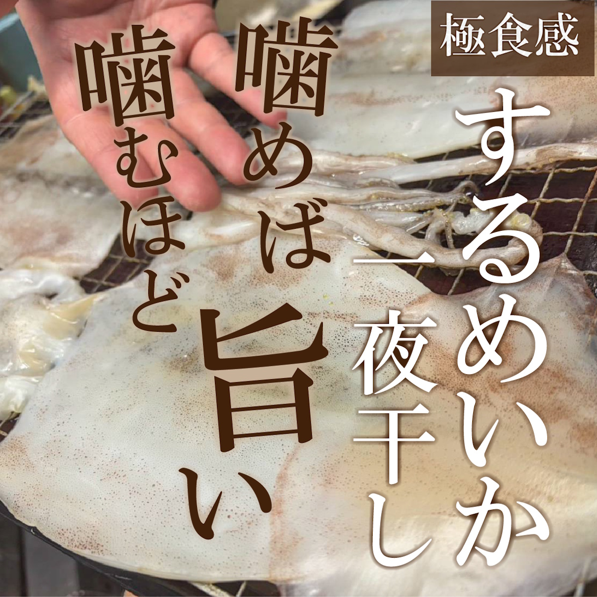 【送料税込6300円】酒の肴～珠玉の6種セット