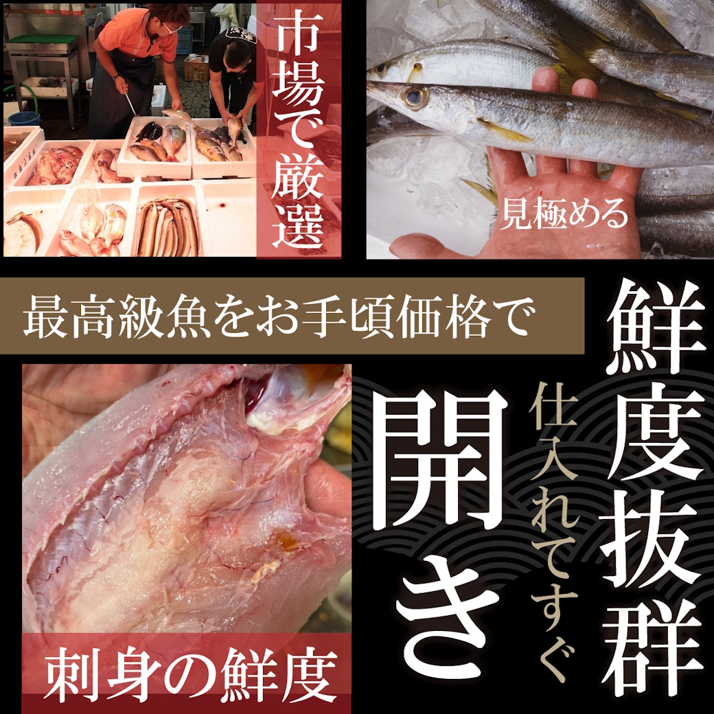【魚匠の一夜干し】姫路産地かます