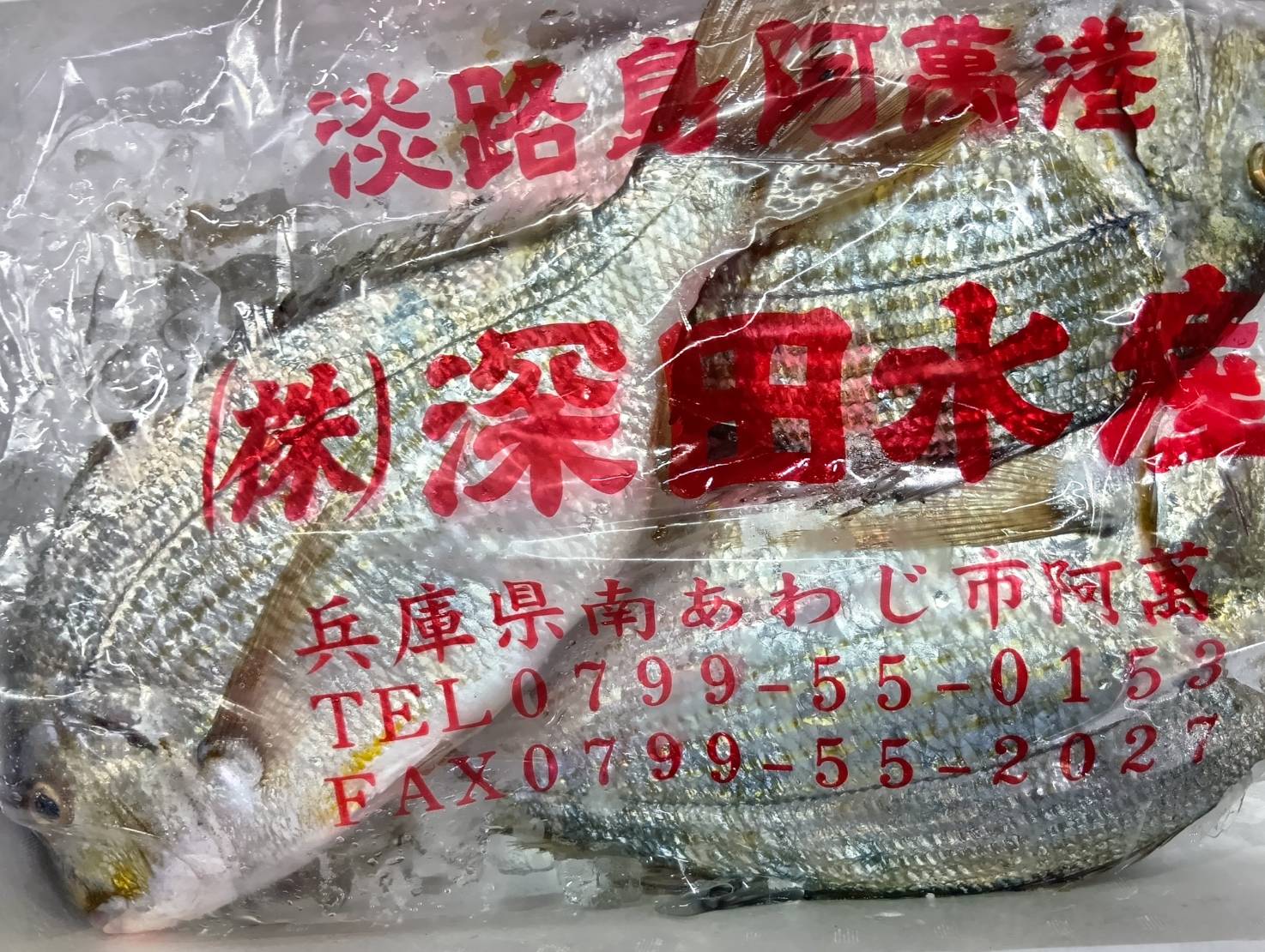 【魚匠の逸品】白鯛の醤油麹熟成和風コンフィ