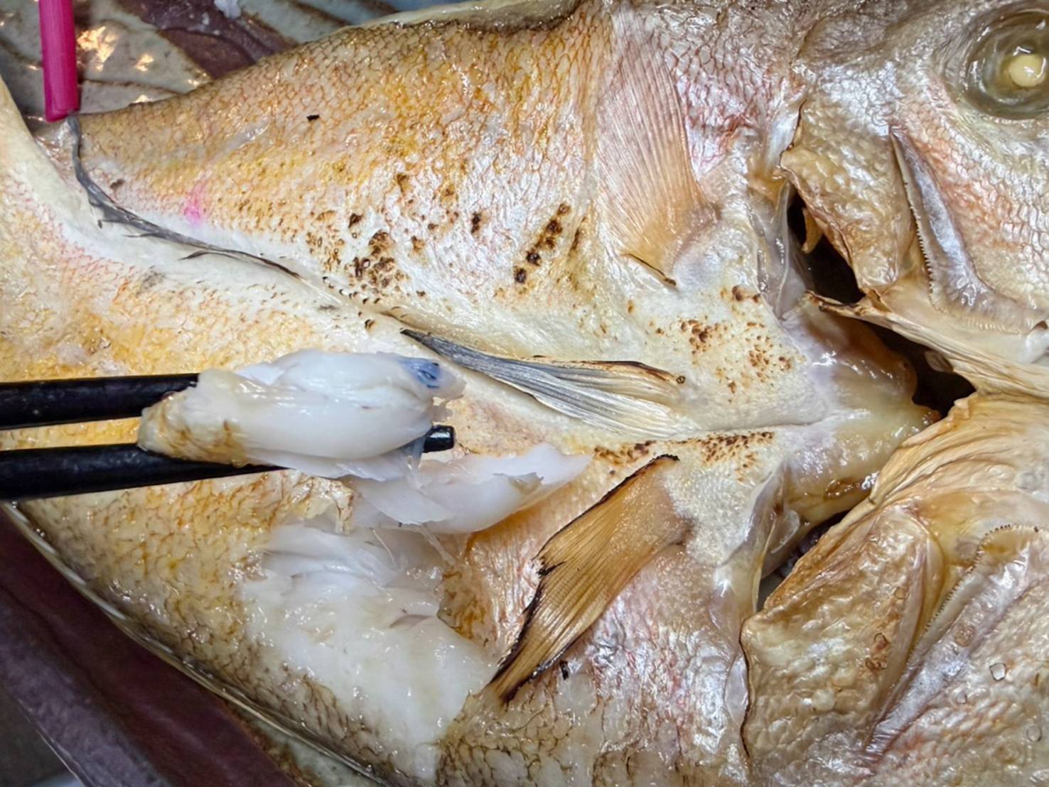 【魚匠の一夜干し】高知県産しろあまだい