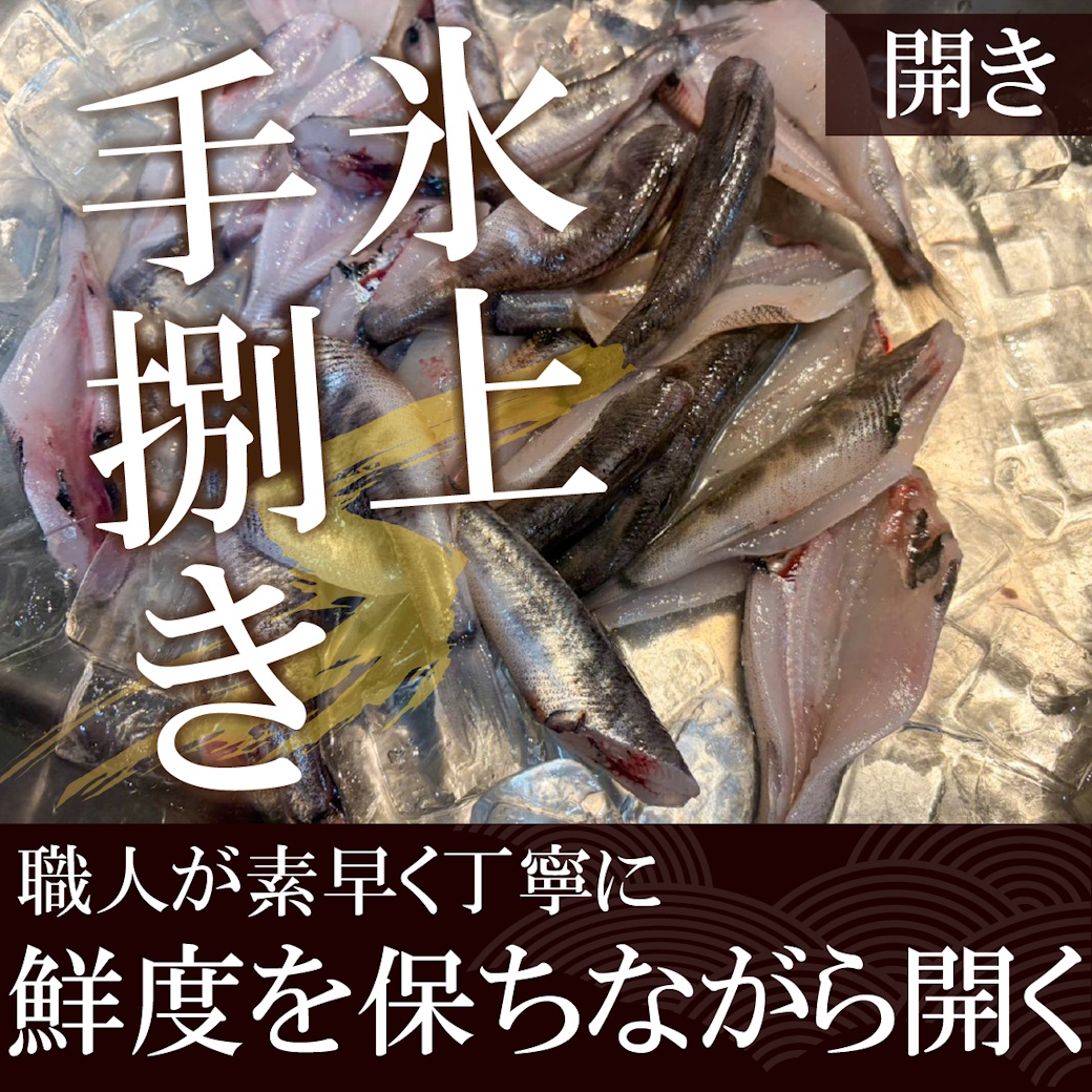 【魚匠の一夜干し】愛知県産めひかり