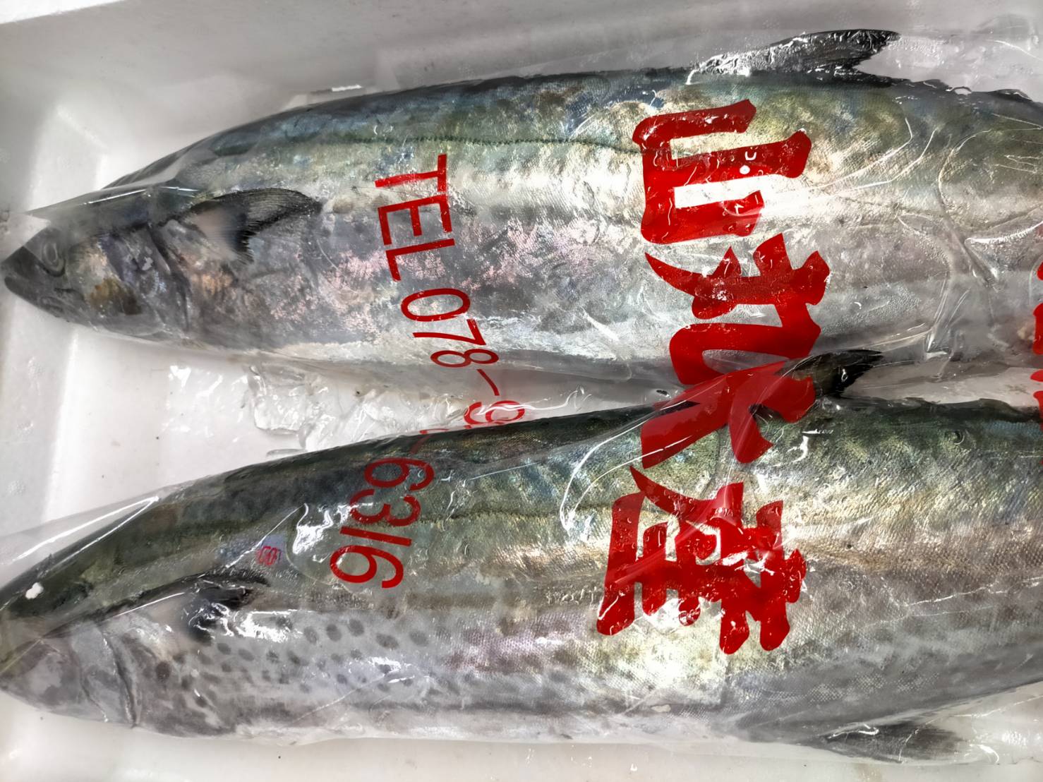 【魚匠の逸品】明石さわらの塩麹熟成和風コンフィ