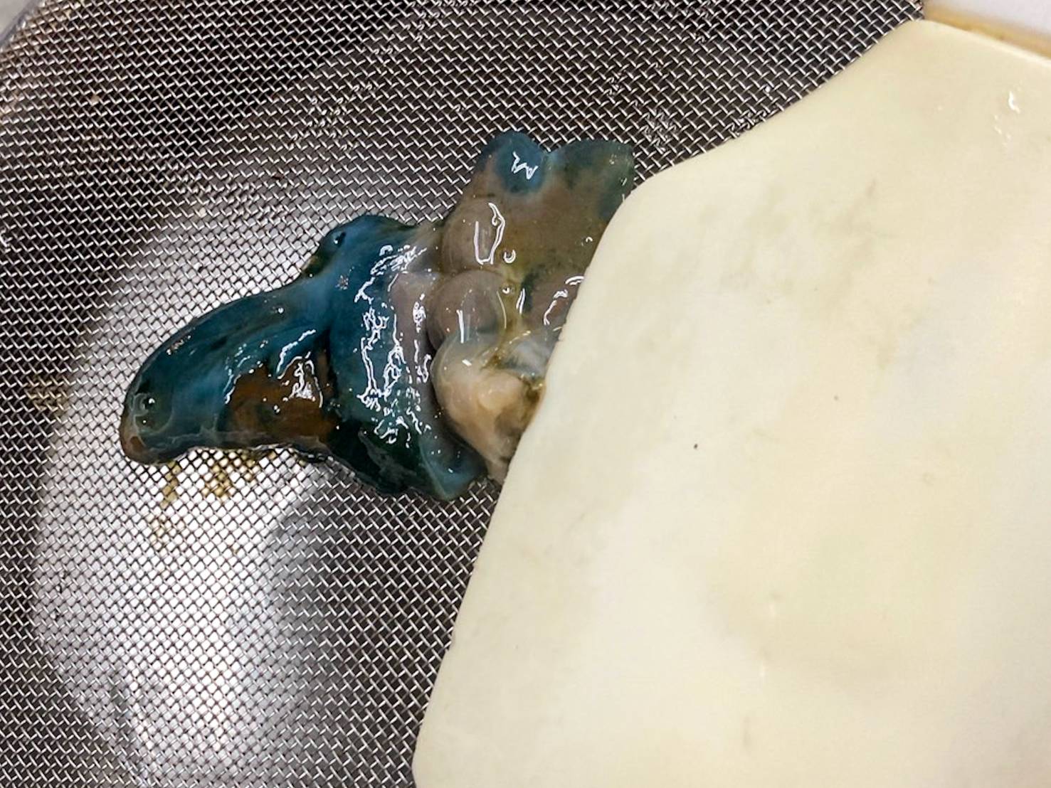 【魚匠の逸品】蝦夷あわびの酒蒸し