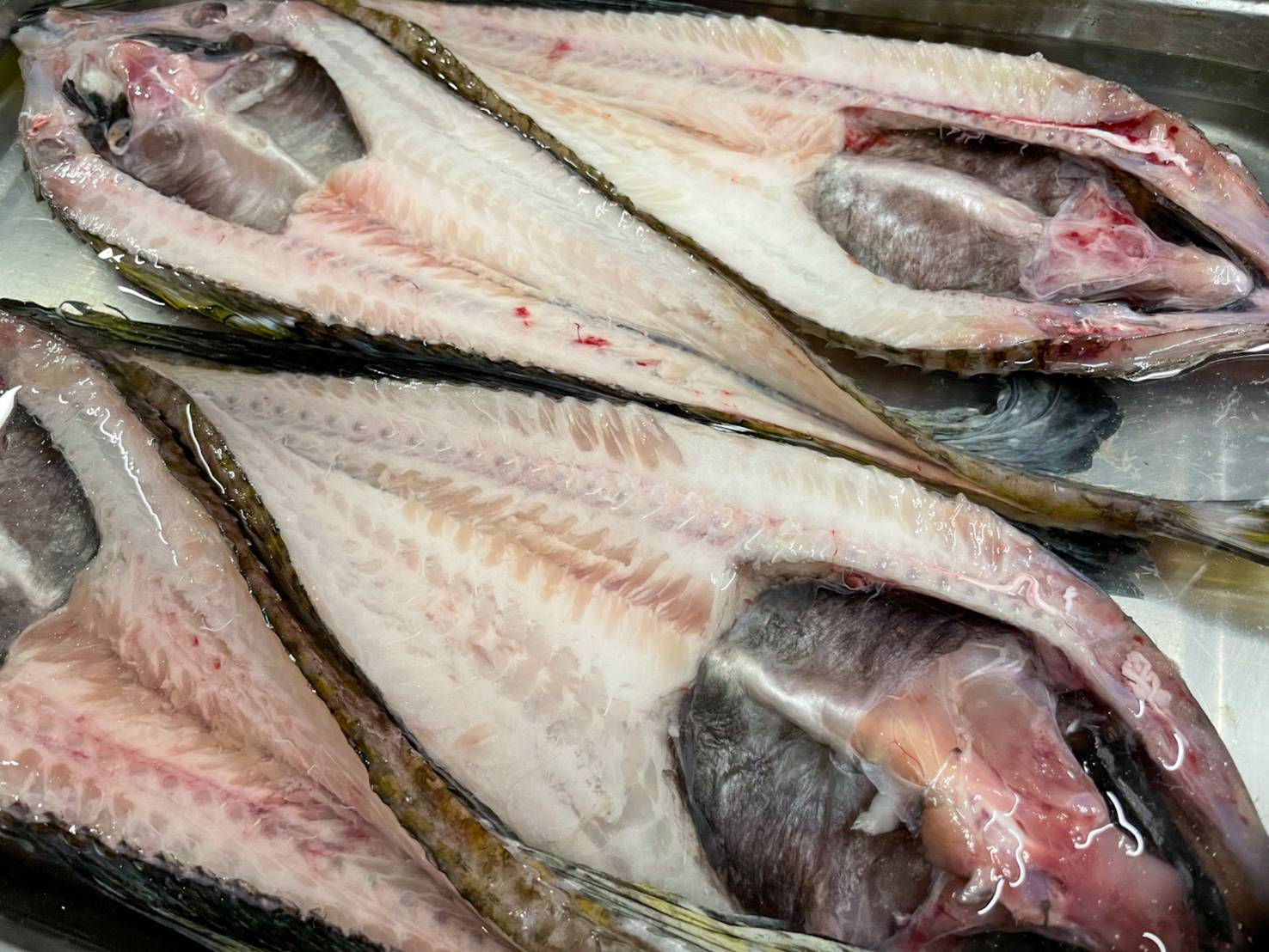 【魚匠の一夜干し】北海道産八角・超特大